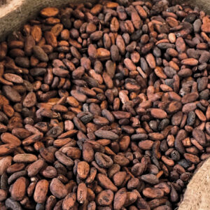 Premium Dried Cocoa Beans