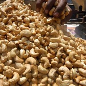 Premium Raw Cashew Nuts