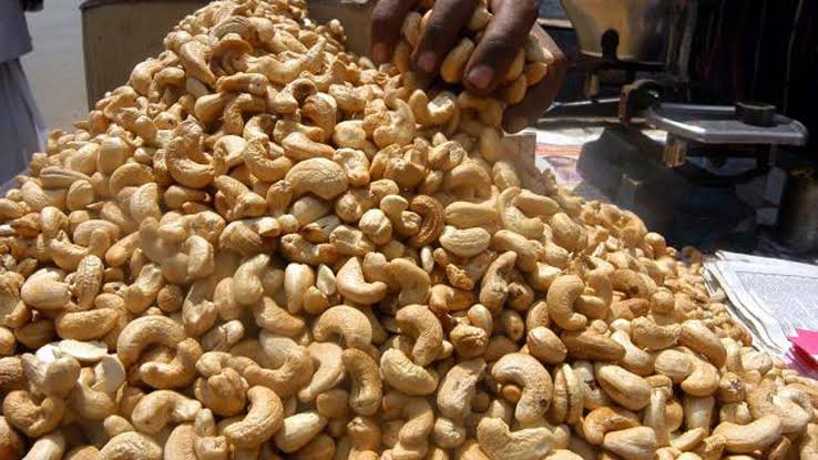 Premium Raw Cashew Nuts